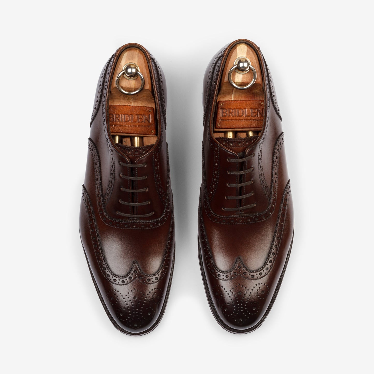 Wingtip Oxford - Brown - Zip Last - MTO