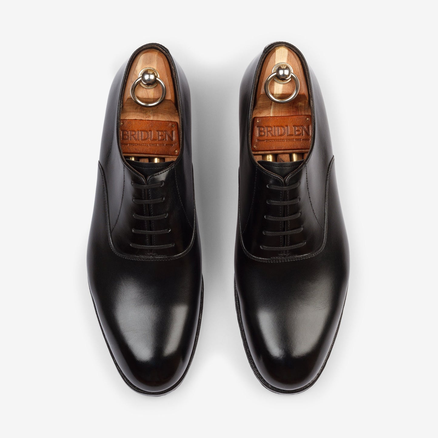 Plain Oxford - Black - Rui Last - MTO