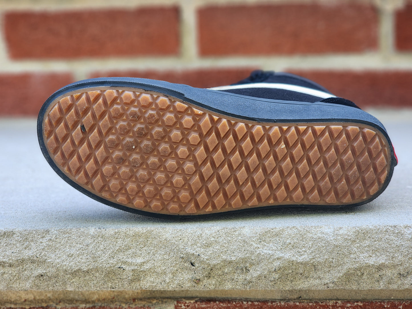 Vans - Sk8 Hi - Lona negra/Ante/Ribete blanco