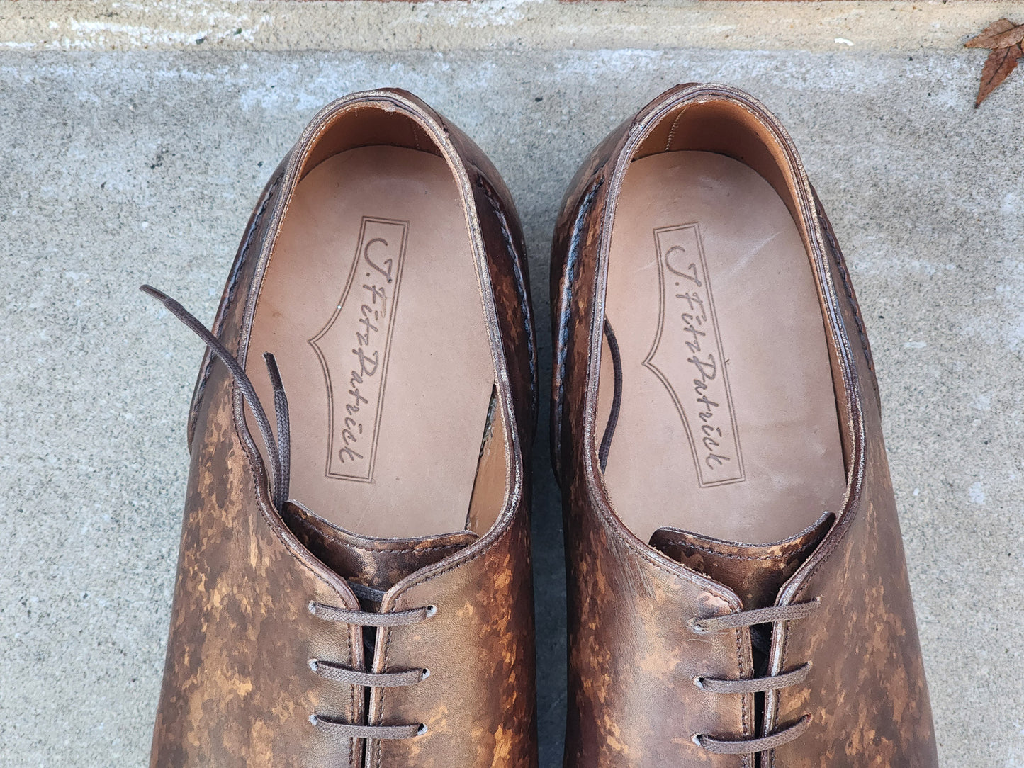 J.FitzPatrick - Oxford en daim pleine fleur - Marron foncé