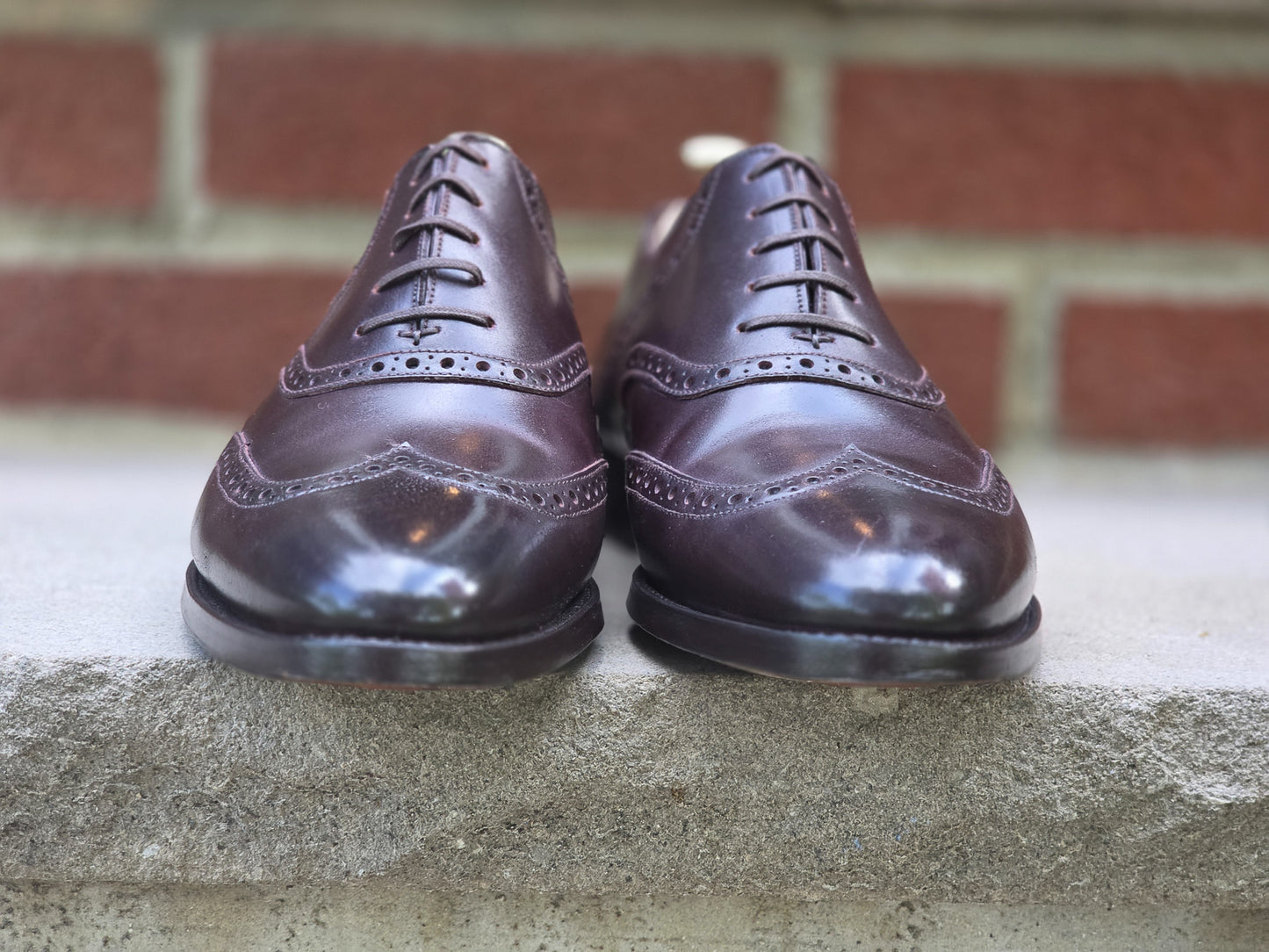 J.FitzPatrick - Wingtip Saddle Oxford - Cordovan - US 7.5
