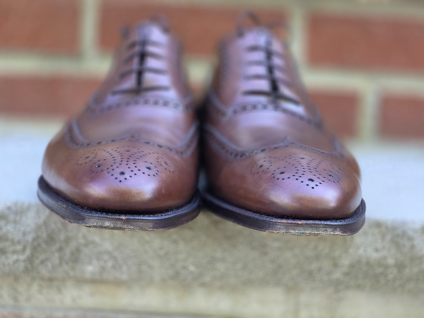 J.FitzPatrick - Oxford en daim pleine fleur - Marron foncé