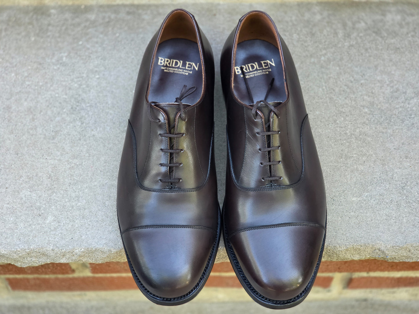 Bridlen - Cap Toe Oxford - Dark Brown Calf - US10.5 EEE