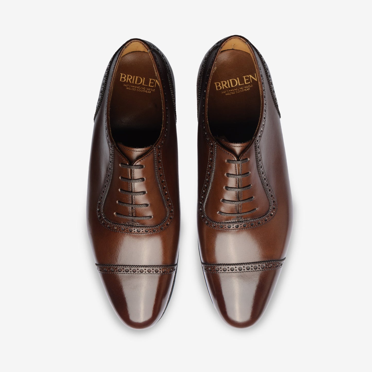 Adelaide Oxford - Brown - Zip Last - MTO