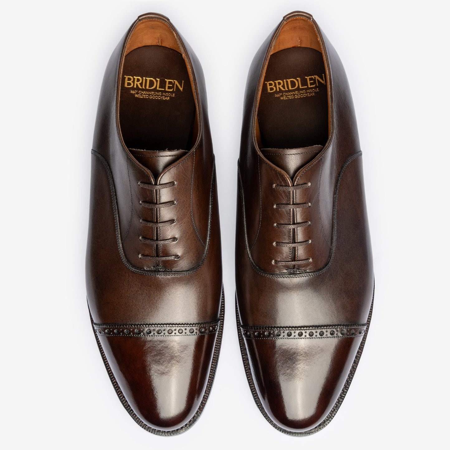 Punch Cap Oxford - Chocolate amargo - Chip Last - Founders 25