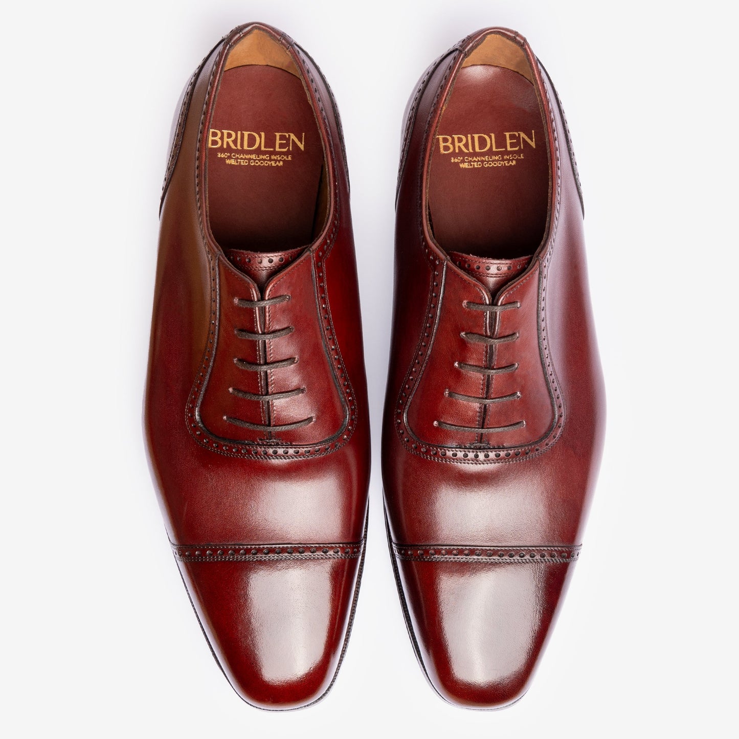 Austere Adelaide Oxford - Burgundy - Deus Last - MTO