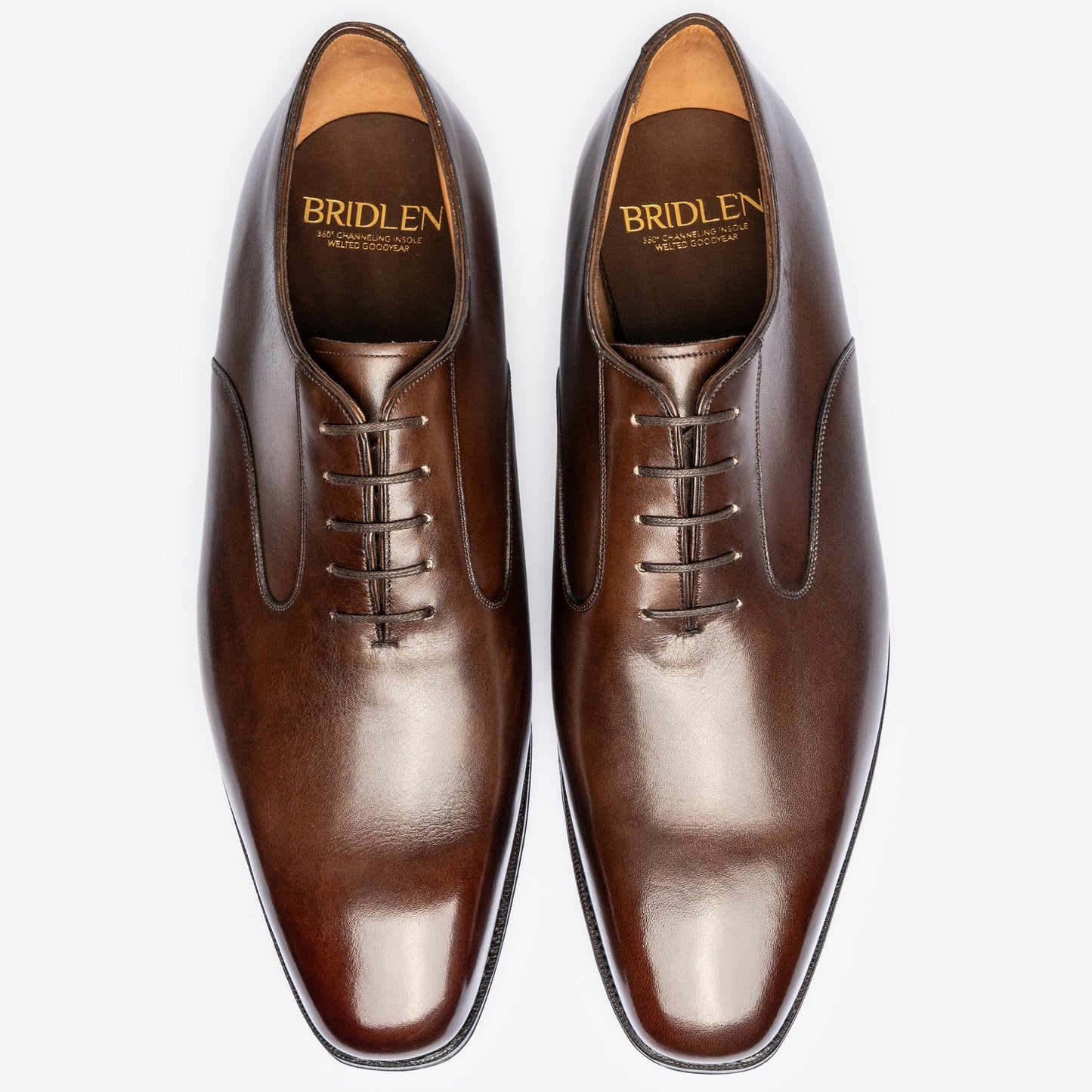 Swan Neck Oxford - Bitter Choco - Deus Last - MTO