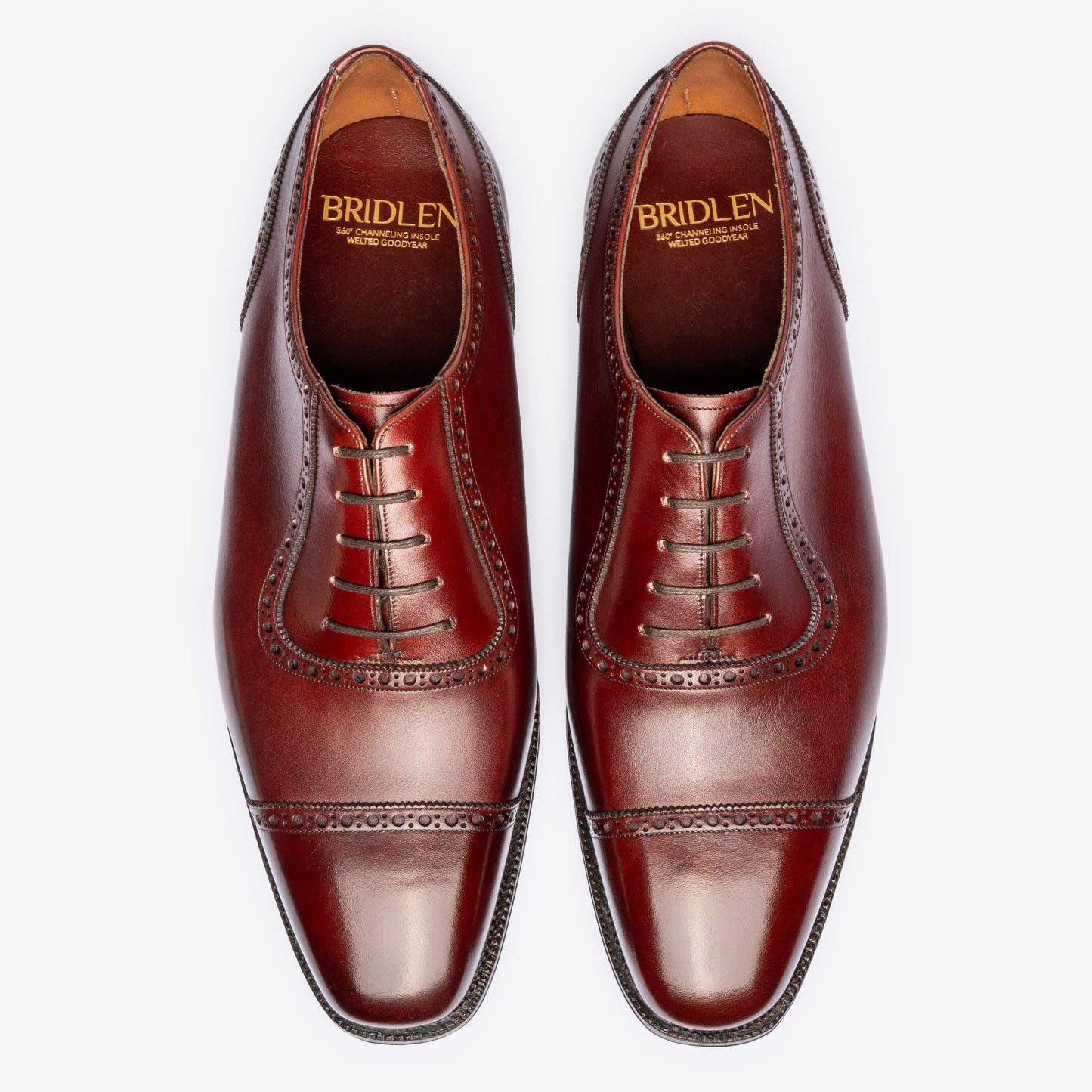 Adelaide Oxford - Burgundy - Deus Last - Founders 25